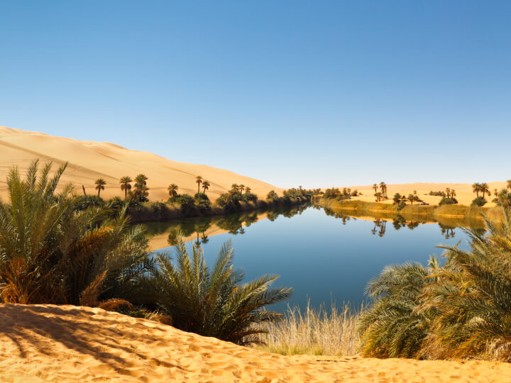 Interesting Facts About the Sahara Desert