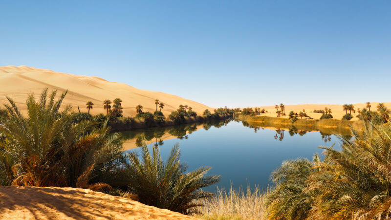 Interesting Facts About the Sahara Desert