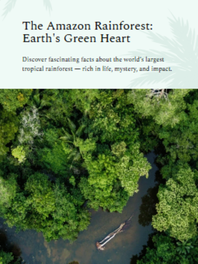 Amazon Rainforest Facts – Biodiversity, Climate Role & Threats