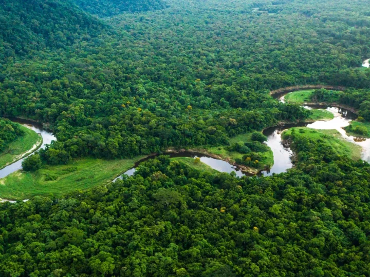 Surprising Facts About the Amazon Rainforest